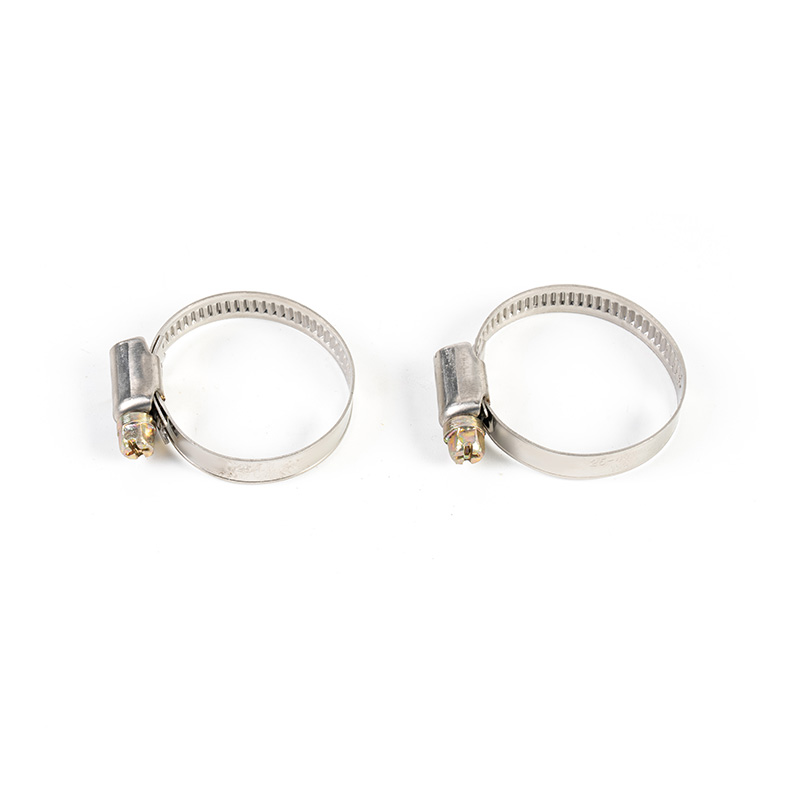 Trealamh clamp cruach dhosmálta giaranna worm Trealamh clamp cruach dhosmálta giaranna worm