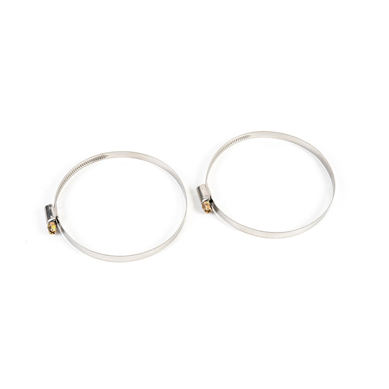 Trealamh clamp cruach dhosmálta giaranna worm Trealamh clamp cruach dhosmálta giaranna worm