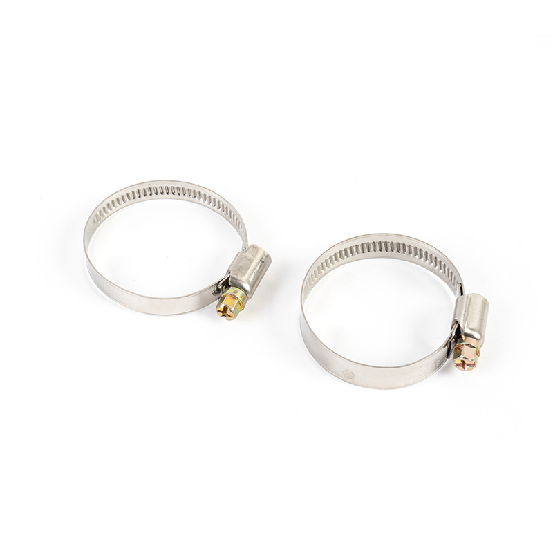 Trealamh clamp cruach dhosmálta giaranna worm Trealamh clamp cruach dhosmálta giaranna worm