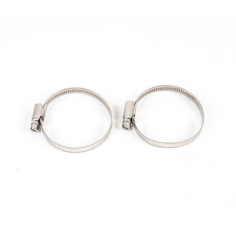 Trealamh clamp cruach dhosmálta giaranna worm Trealamh clamp cruach dhosmálta giaranna worm