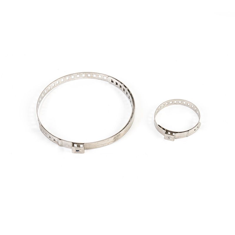 Trealamh clamp cruach dhosmálta giaranna worm Trealamh clamp cruach dhosmálta giaranna worm