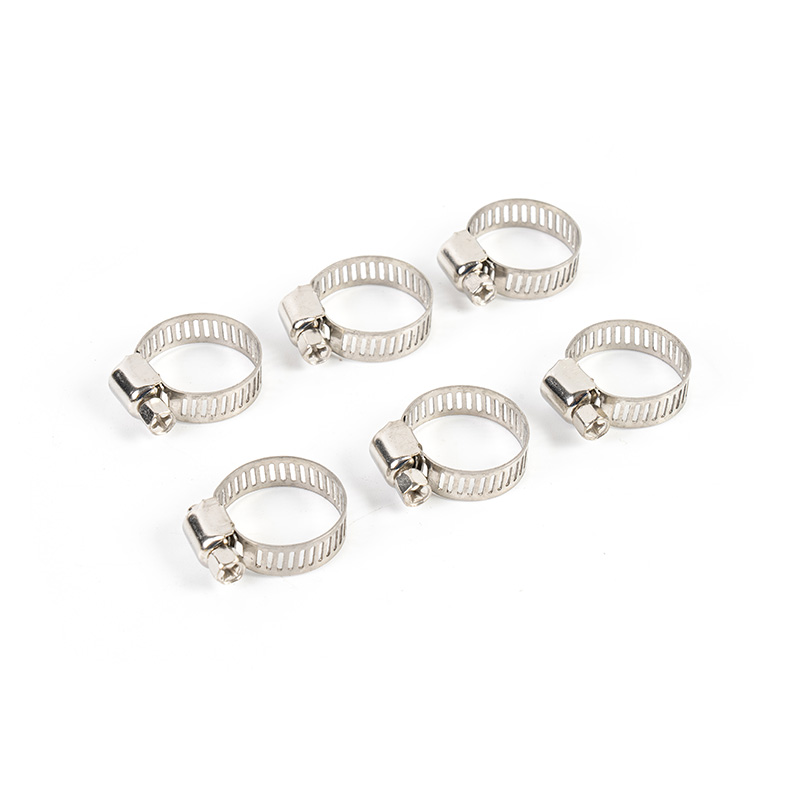 Trealamh clamp cruach dhosmálta giaranna worm Trealamh clamp cruach dhosmálta giaranna worm