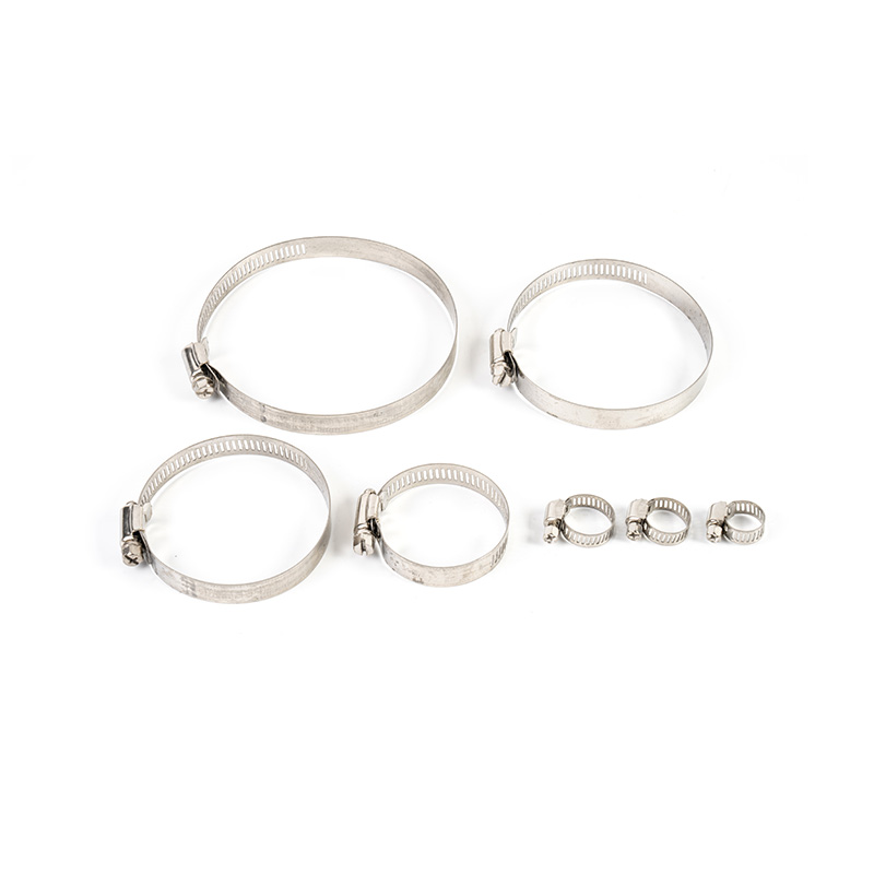 Trealamh clamp cruach dhosmálta giaranna worm Trealamh clamp cruach dhosmálta giaranna worm