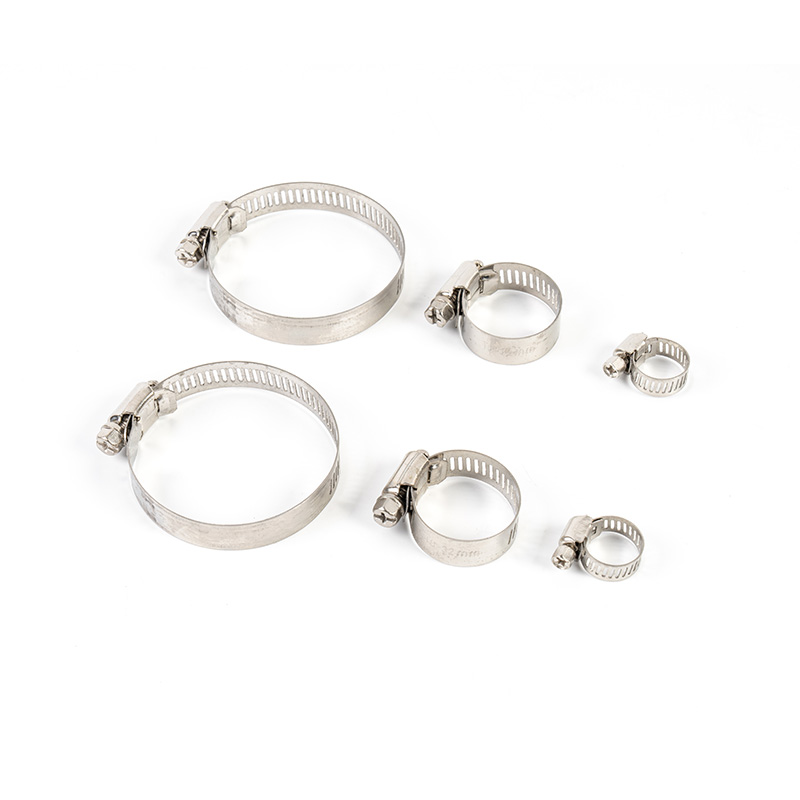 Trealamh clamp cruach dhosmálta giaranna worm Trealamh clamp cruach dhosmálta giaranna worm