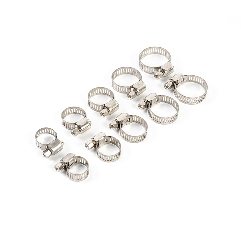 Trealamh clamp cruach dhosmálta giaranna worm Trealamh clamp cruach dhosmálta giaranna worm