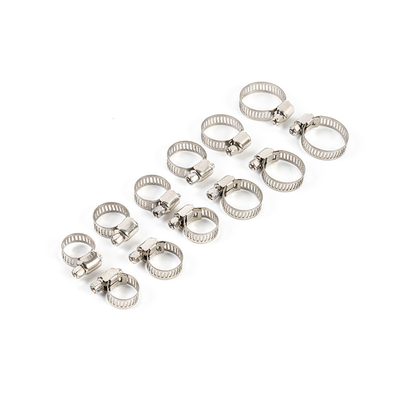 Trealamh clamp cruach dhosmálta giaranna worm Trealamh clamp cruach dhosmálta giaranna worm