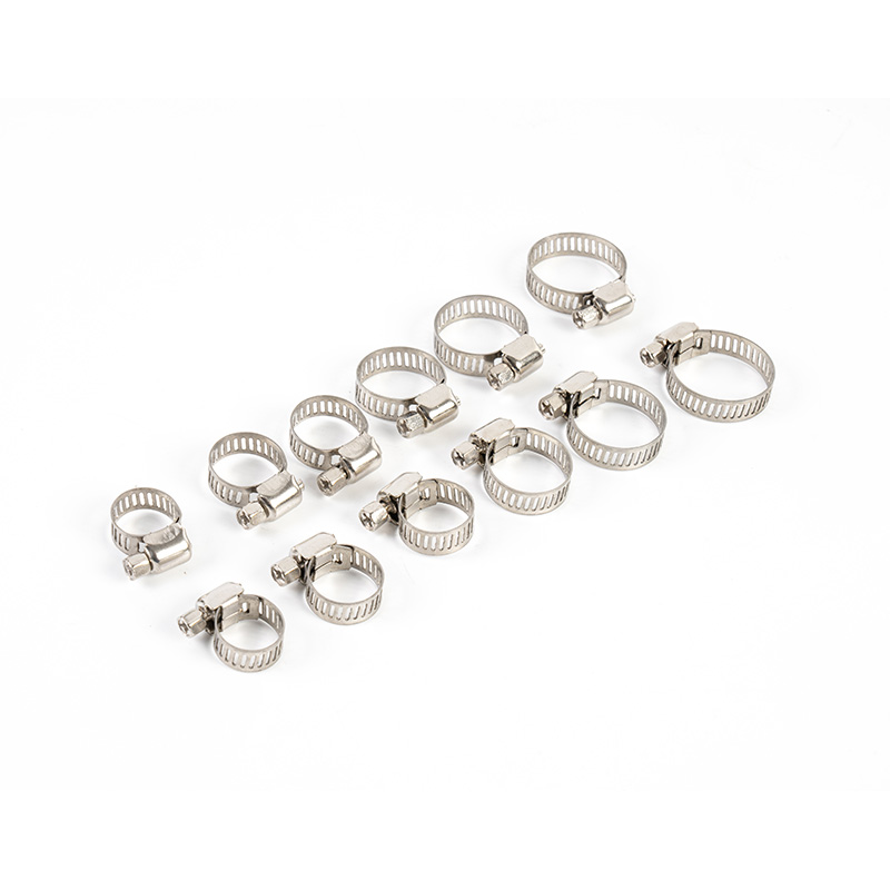 Trealamh clamp cruach dhosmálta giaranna worm Trealamh clamp cruach dhosmálta giaranna worm